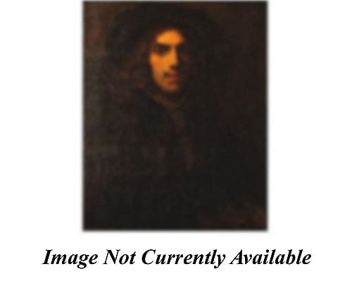 Study of 'Titus by Rembrandt'